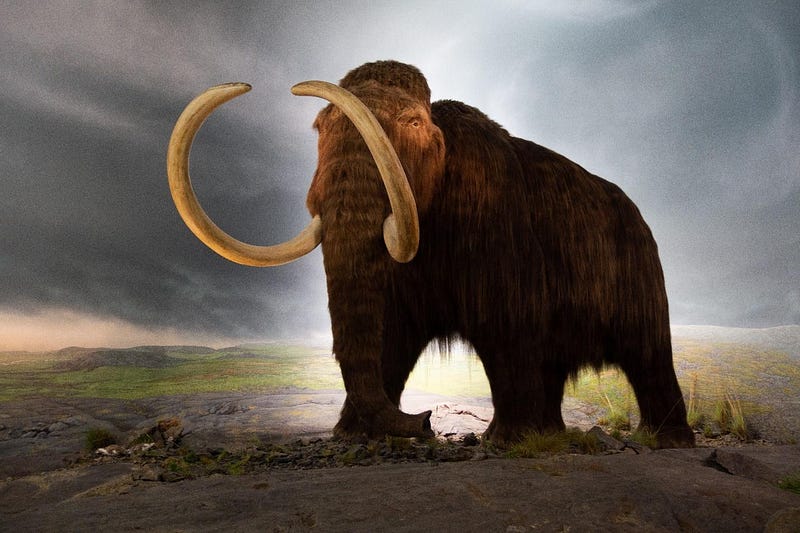 Woolly Mammoths and Egyptian Pyramids