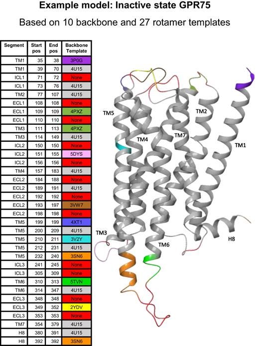 Model of GPR75 protein related to obesity research.