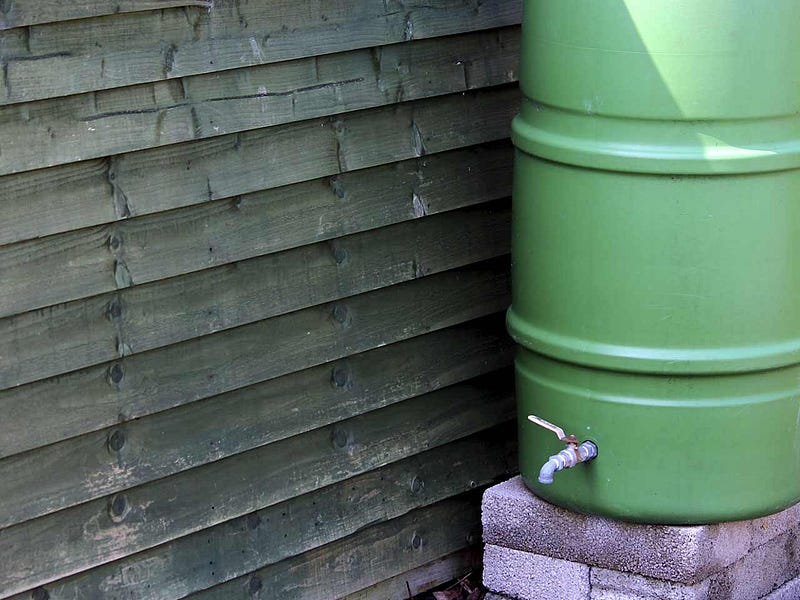 Rainwater harvesting with water butts