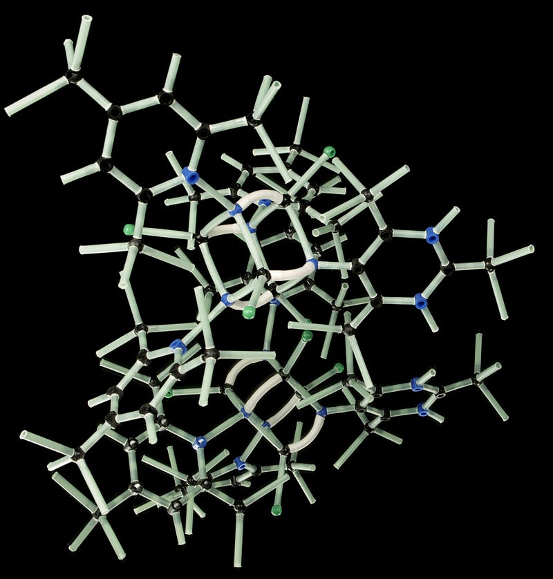 Representation of Biological Complexity