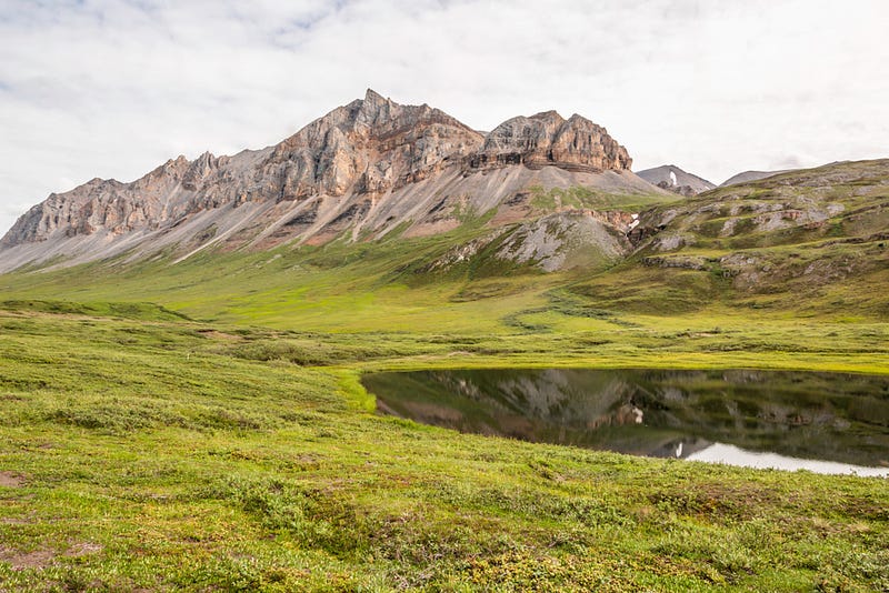 Example of a thermokarst formation in the Arctic