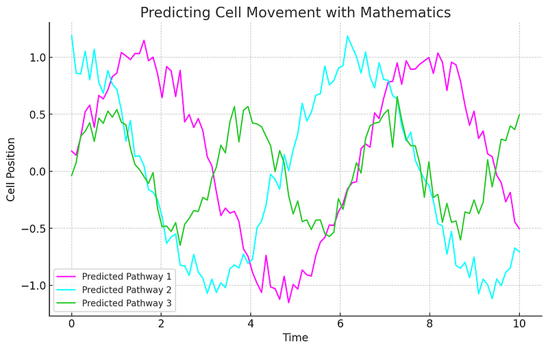 Graph showing predicted cellular migration pathways