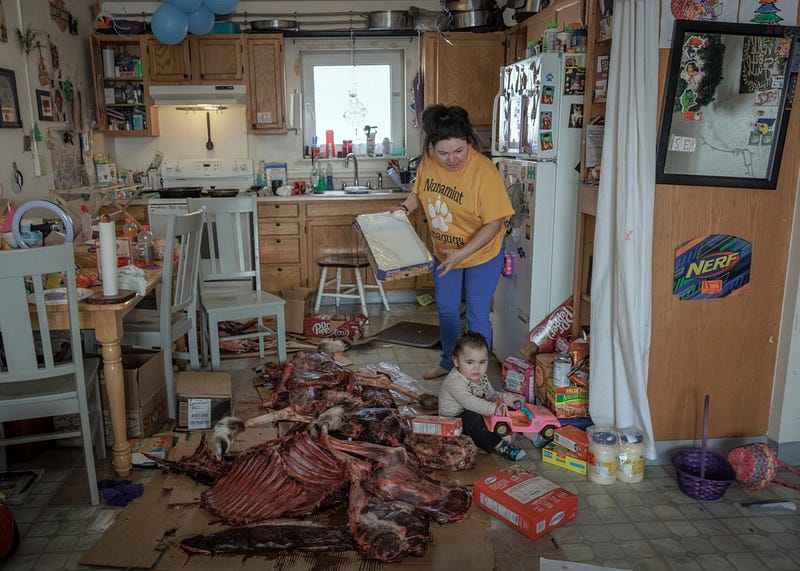 A depiction of caribou processing by Katie Orlinsky.