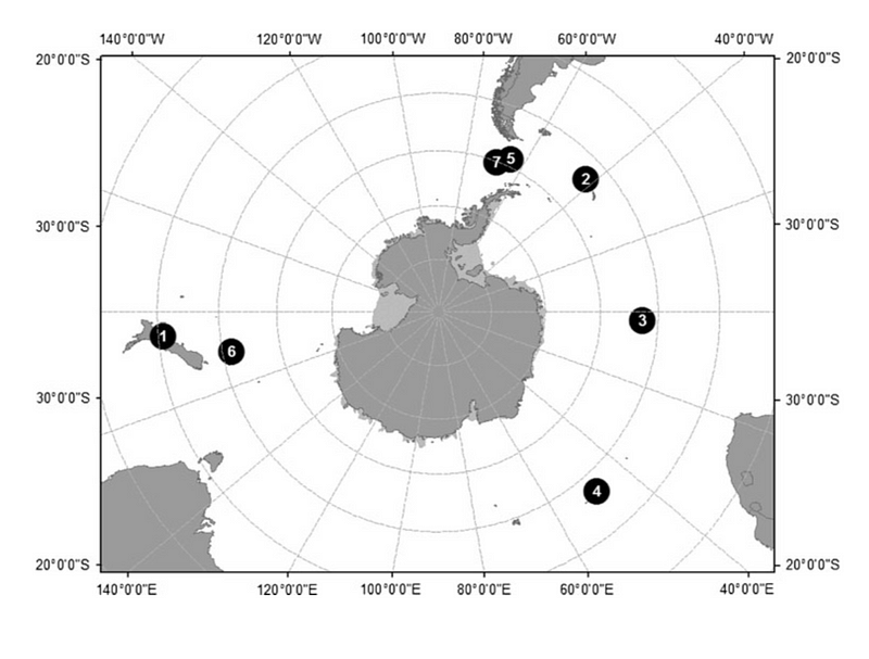 Map of Type D killer whale sightings