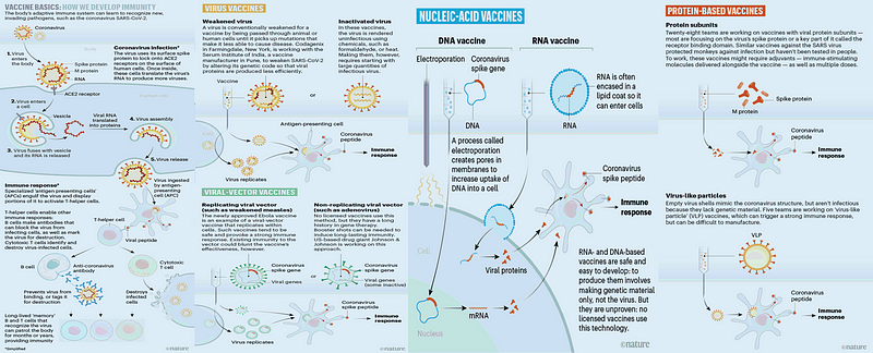 Visual representation of COVID-19 vaccine approaches