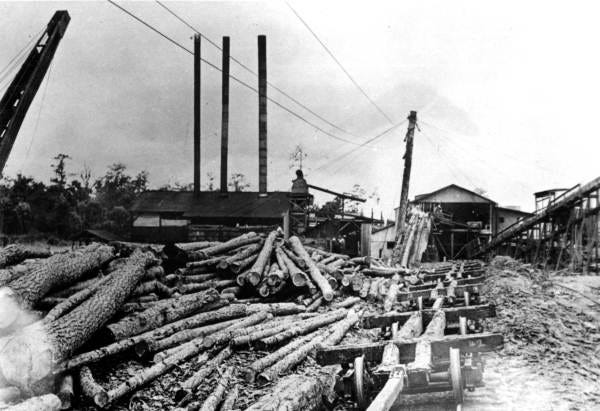 Historic sawmill of Wilson Cypress Company